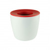 Red Mini Desk Plant Pots